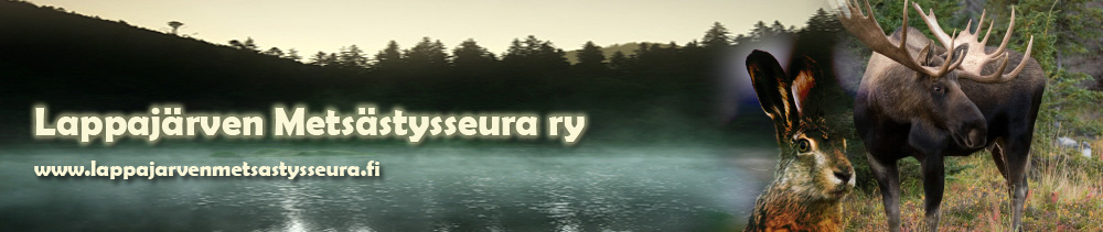 rhy.fi